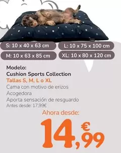 Cushion Sports Collection 