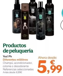 Yes!Ph - Productos De Peluqueria