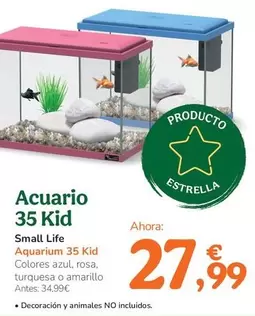 Small Life - Acuario 35 Kid