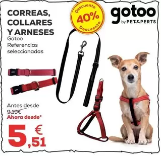 Gotoo - Correas/ Collares Y Arneses