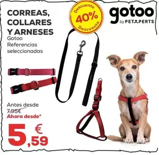 Gotoo - Correas/ Collares Y Arneses