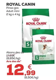 Royal Canin - Pienso Perro Adulto Mini