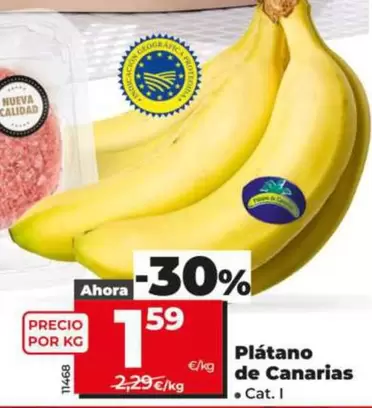 Platano De Canarias