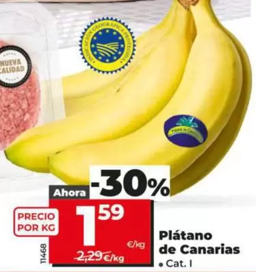Platano De Canarias