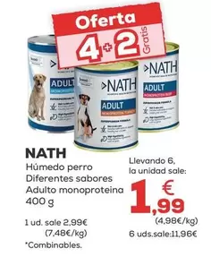 Nath - Humedo Perro