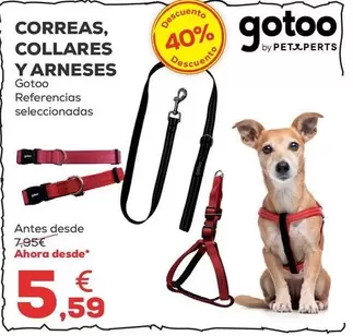 Gotoo - Correas/ Collares Y Arneses