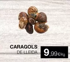 Caragols De Lleida