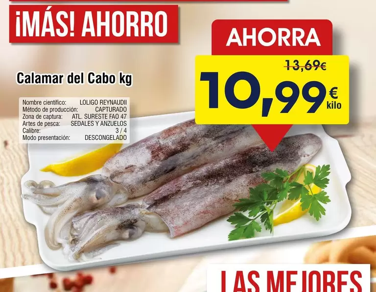 Calamar Del Cabo