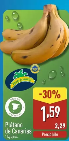 Platano De Canarias