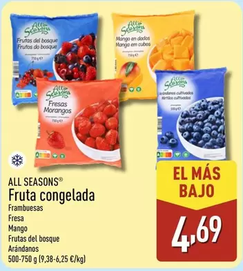 All Seasons - Fruta Congelada