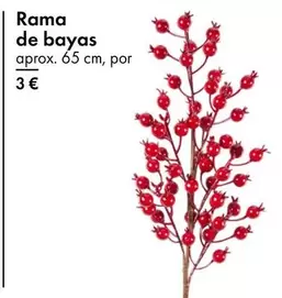 Rama De Bayas