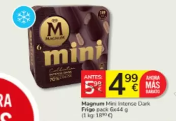 Frigo - Magnum Mini Intense Dark 