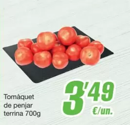 Tomàquet De Penjar Terrina