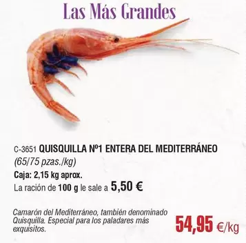 Quisquilla N°01 Entera Del Mediterráneo