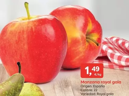 Gala - Manzana Royal