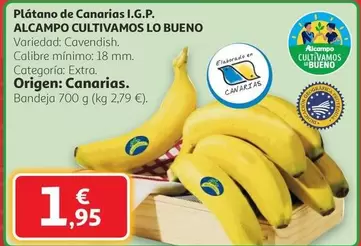 alcampo - Plátano De Canarias I.g.p.
