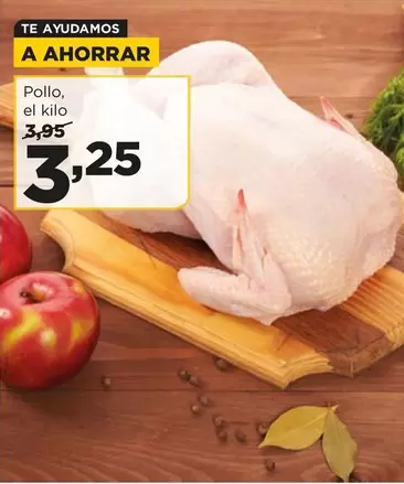 Pollo