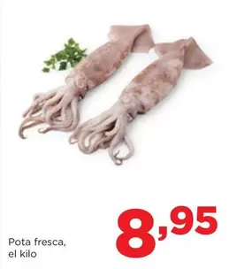 Pota Fresca