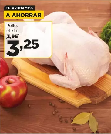 Pollo
