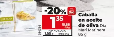 Dia - Caballa En Aceite De Oliva