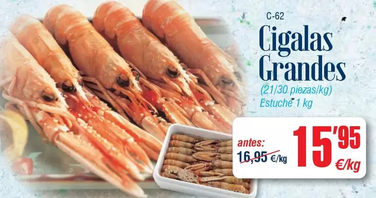 Cigalas Grandes