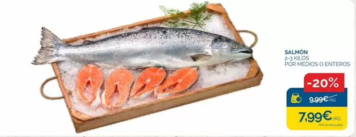 Salmon