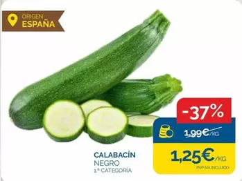origen - Calabacín Negro