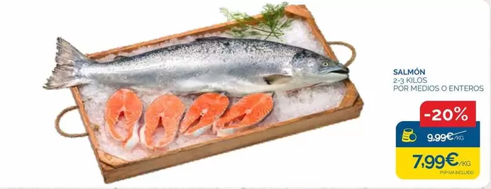 Salmon