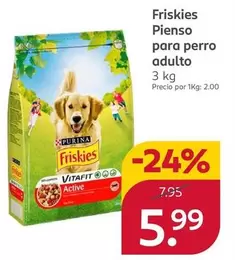 Friskies - Pienso Para Perro Adulto