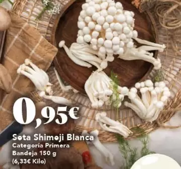 Seta Shimoji Blanca