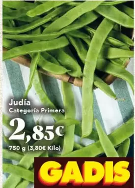 Judia