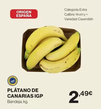 origen - Plátano De Canarias Igp