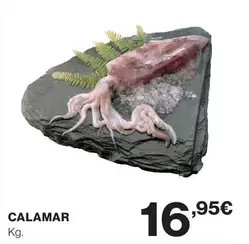 Calamar