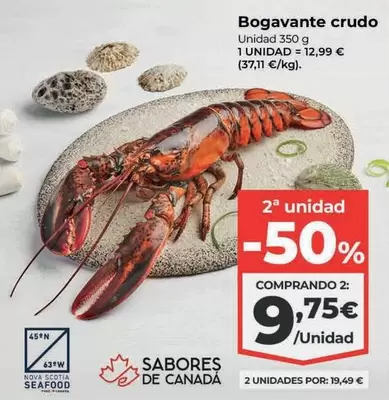 Nova - Bogavante Crudo