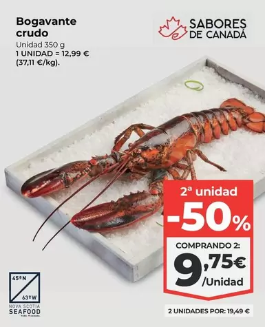 Nova - Bogavante Crudo