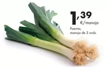 Puerros Manojo De 3 Unds.