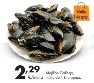 Gallego - Mejillon