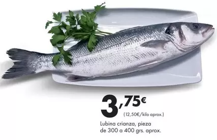 Lubina Crianza
