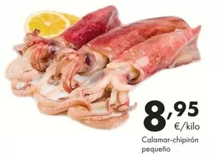 Calamar-chipirón Pequeño