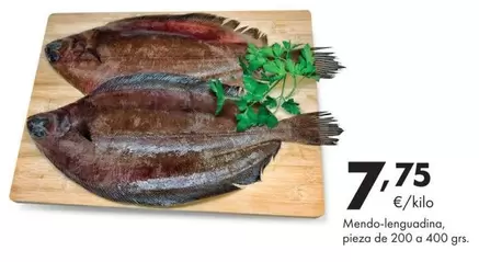 Mendo-Lenguadina