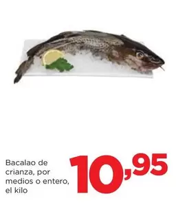 Bacalao De Crianza, Por Medios O Entero