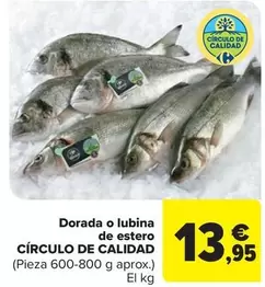 Dorada O Lubina De Estero