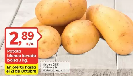 origen - Patata Blanca