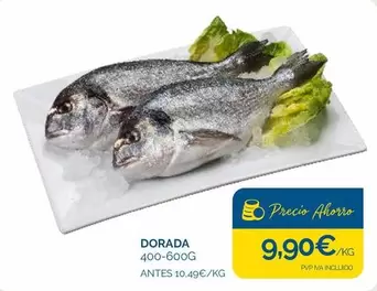 dorada - Dorada