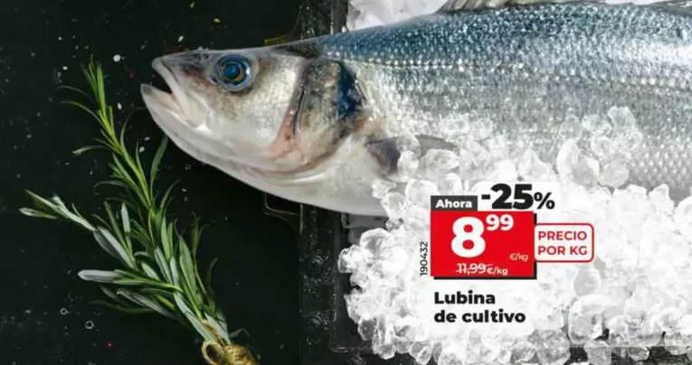 Lubina De Cultivo