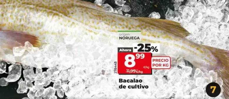 Bacalao De Cultivo