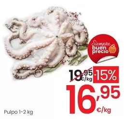 Pulpo