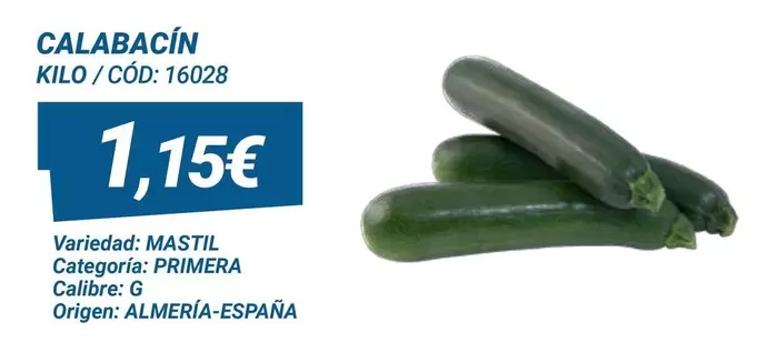origen - Calabacin