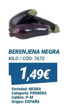 origen - Berenjena Negra
