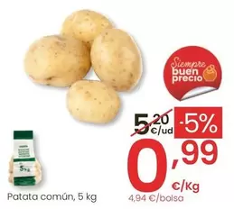 Patata Común